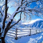 Invierno-2